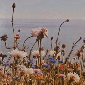 Meet your Posher, Chloe